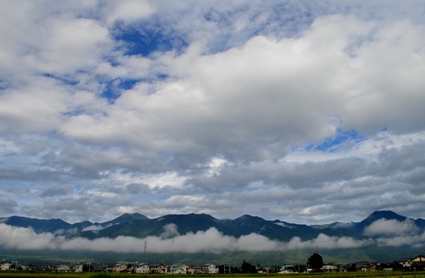DSC_0097q
