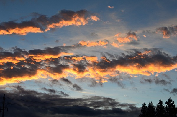 DSC_0045q