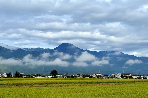 DSC_0080q