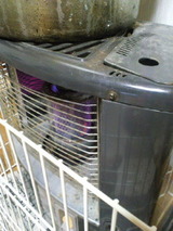 4a310144.jpg