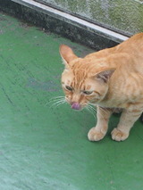 60d6e734.jpg