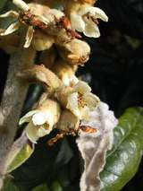 b6728b31.jpg