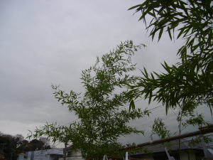 町内会館２