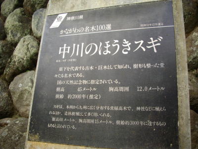 䶿���