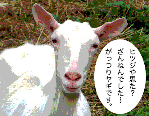 49_9a00d015a96fd88ecb5cff3c93828c6072452ea4のコピー