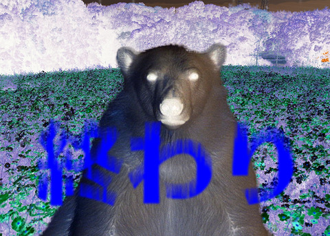 af7c094267a43000771fe2bbe40b53e_lのコピー