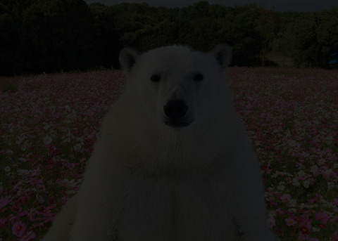 af7c09426743000771fe24bbe40b53e_lのコピー