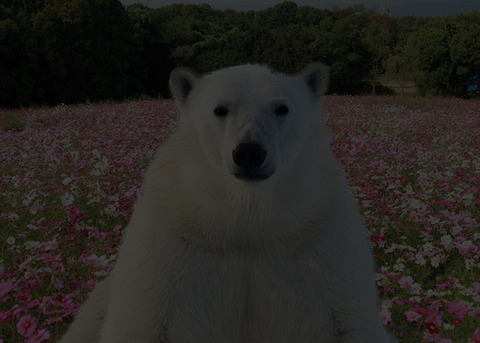 af7c094267a4300771fe24bbe40b53e_lのコピー
