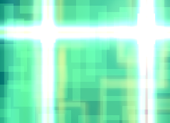 010