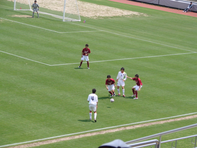 65d69aed.jpg