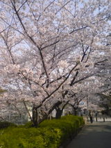 080406_0819~01