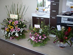 画像 048