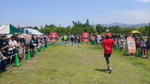 981508_358268117629560_219703985_o