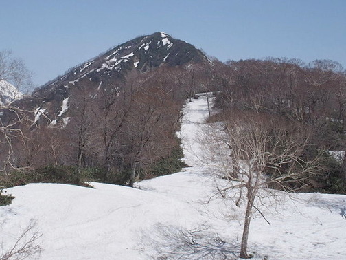 P4290025