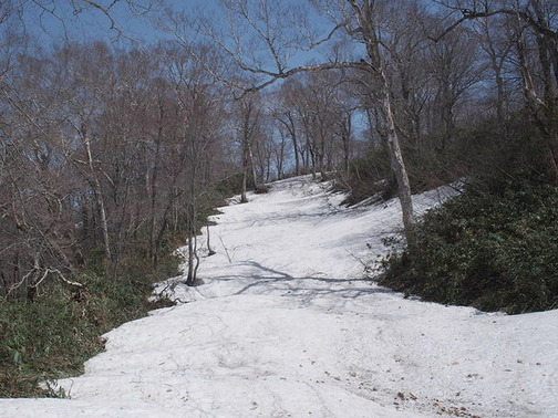 P4290026