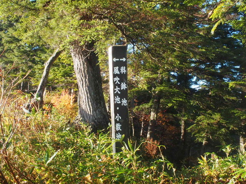 PA080145