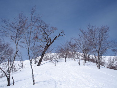 P3050033
