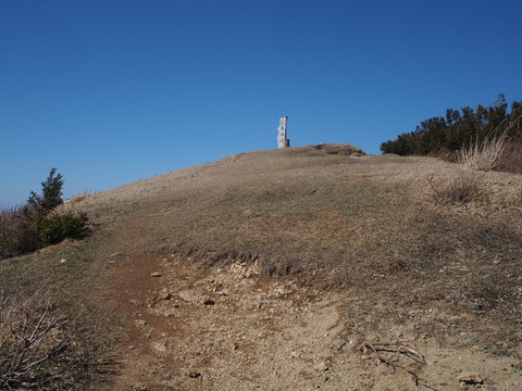 P5040009
