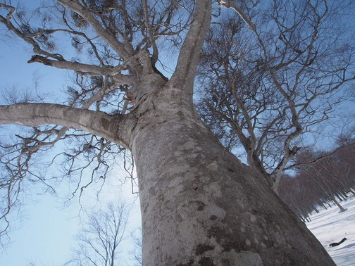 P3250030