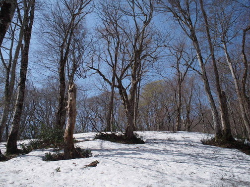 P4290010