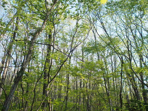 P5050045
