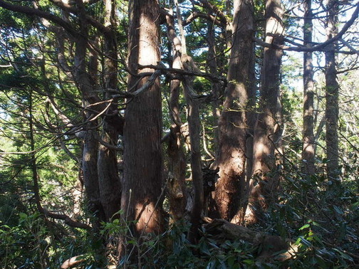 P5050070
