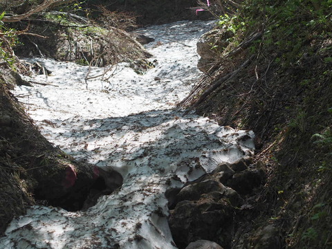 P6030024