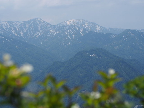 P6030047
