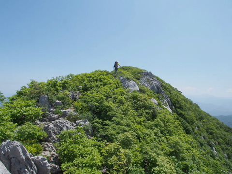 P6030034