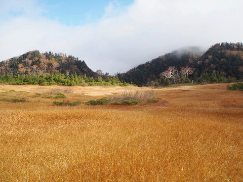 PA080184