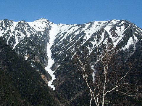P5030859