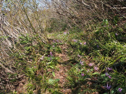 P5050079