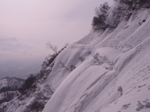 P1252886