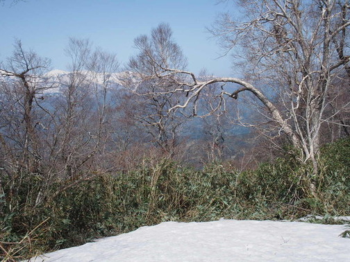 P4290017