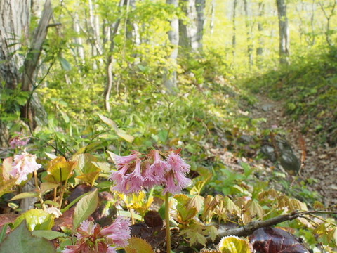 P5050056