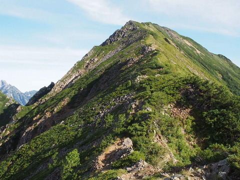 P8150113