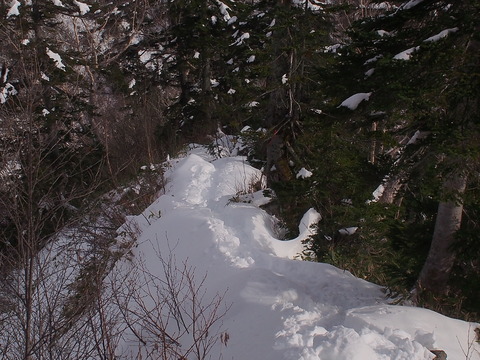 PC049059