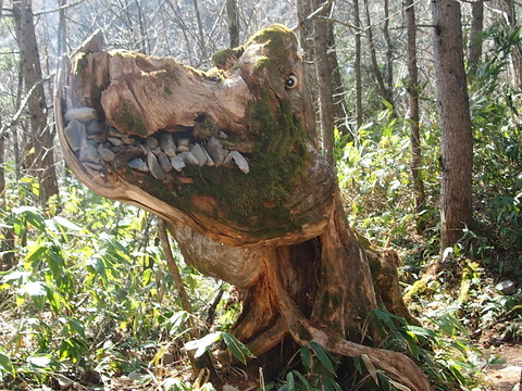 P5030854