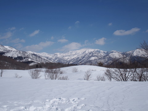 P3050017