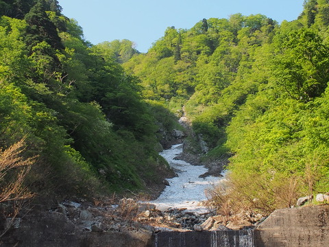 P5227222