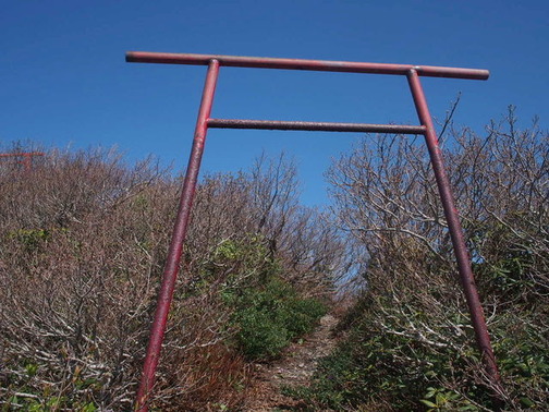 P5050087
