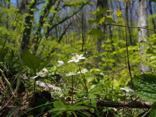 P5050117