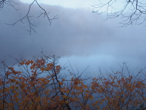 PA080163