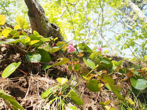 P5050062