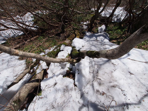 P5050097