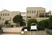 tamanawa1