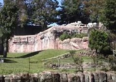 金沢動物園3