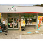 cooptama