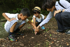 1S3A0785