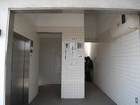 hasedera4